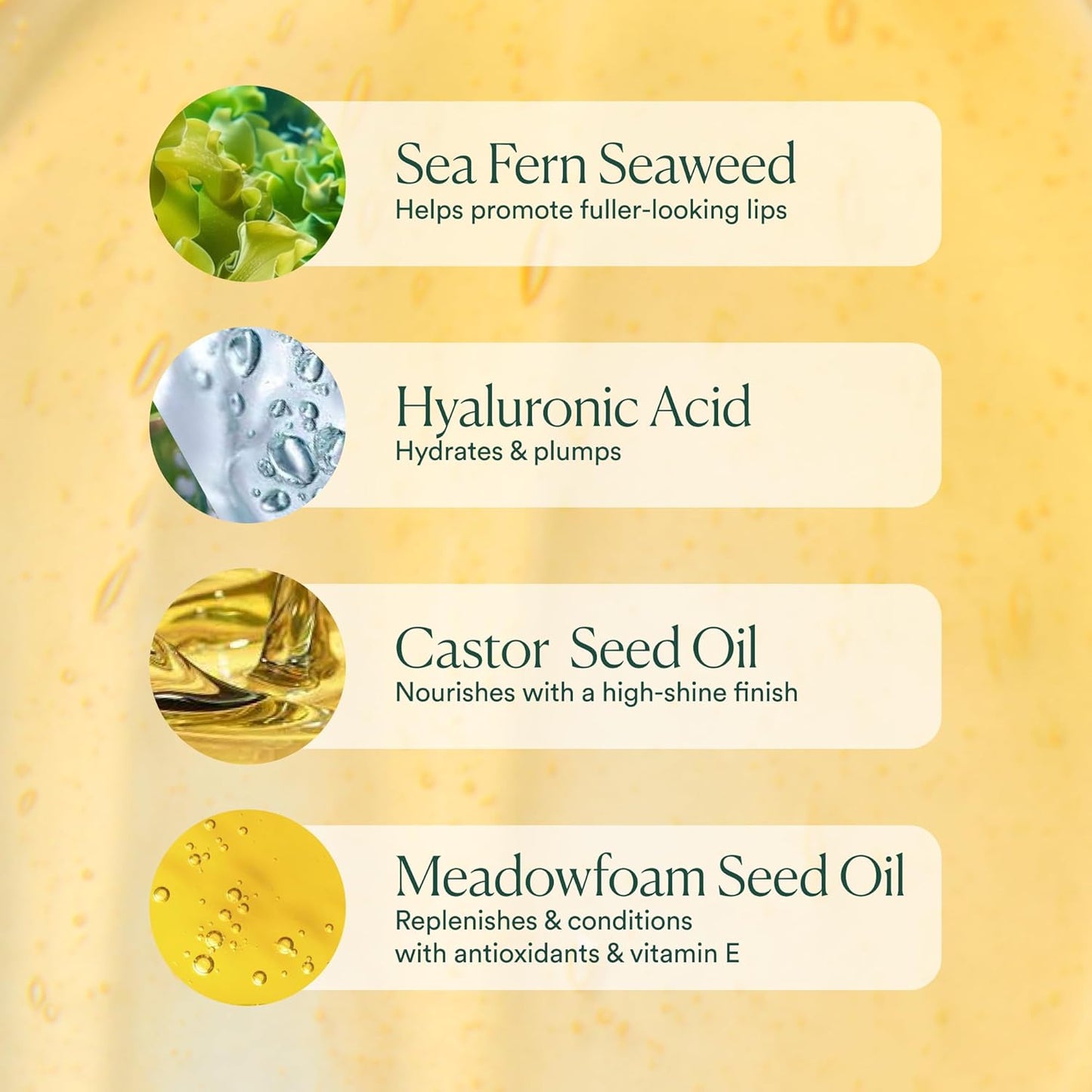 Hyaluronic Lip Oil Booster – Clean Beauty Lip Oil for Plump, Glossy, Hydrated Lips – Nourishing Seaweed & Meadowfoam Oil – Vegan, Non-Sticky, High-Shine Finish