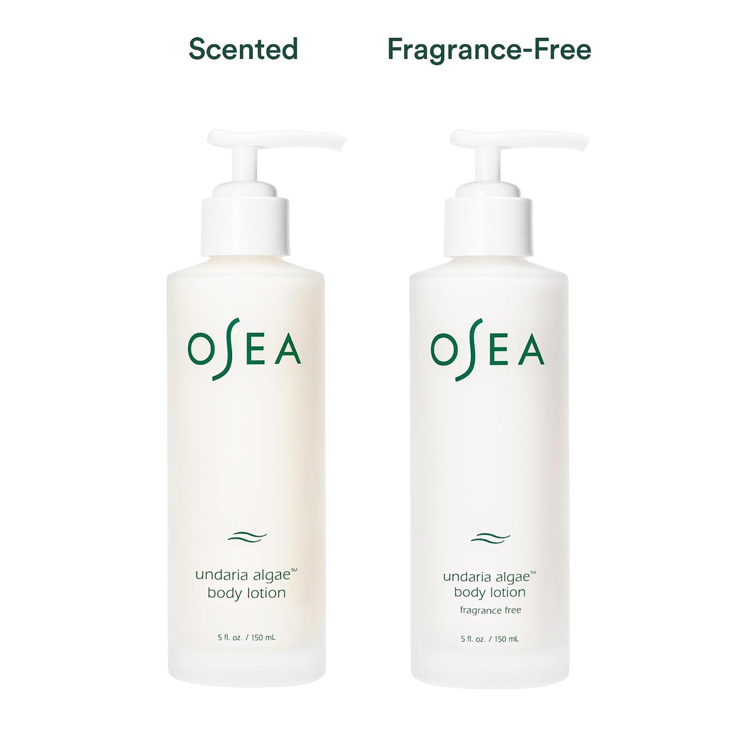 Undaria Algae™ Fragrance Free Body Lotion 5 Oz - Ultra-Hydrating & Lightweight - Firms Skin in 4 Hours - Packed with Undaria Seaweed & Hyaluronic Acid - Hypoallergenic Formula