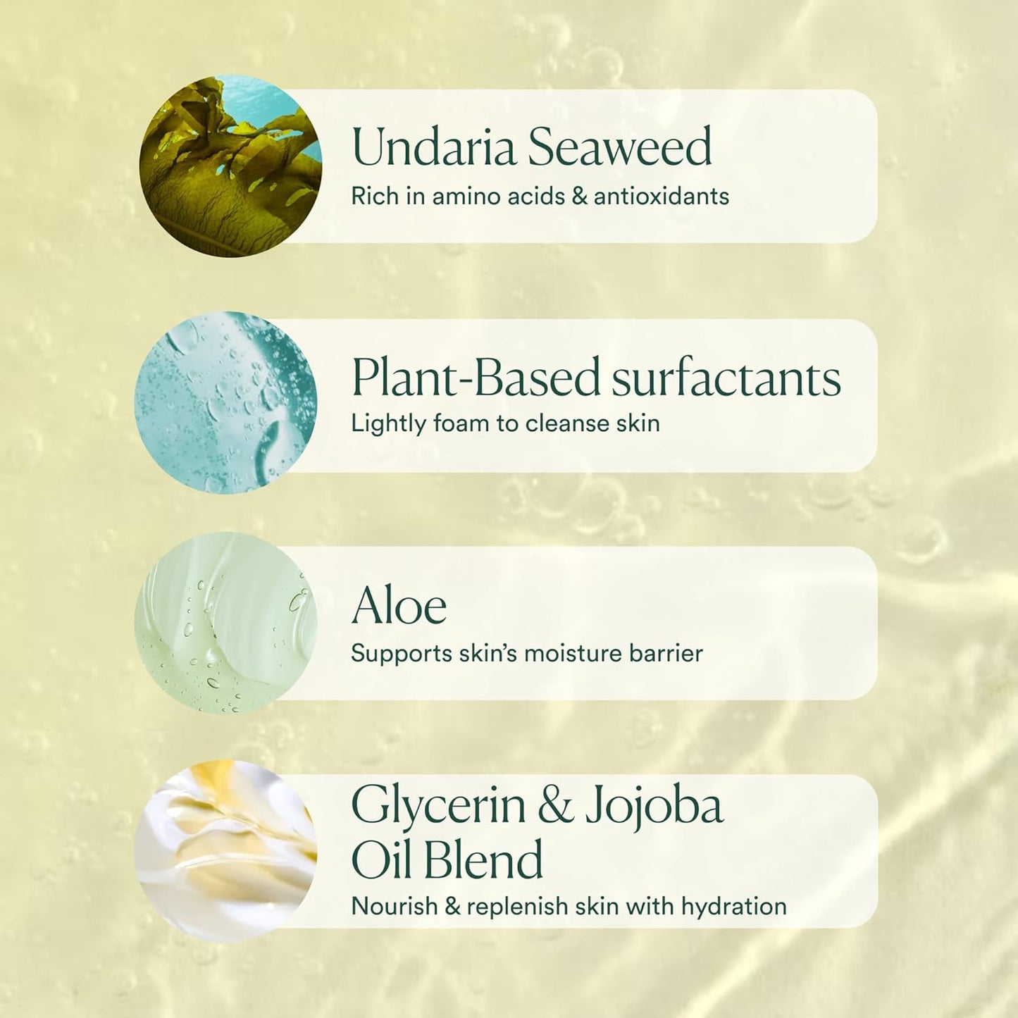 Undaria Algae™ Body Wash, Ph Balanced Cleanser, Citrus Scent, 8 Oz | Hydrating • Moisturizing • Aloe + Glycerin • All Skin Types • Undaria Seaweed • Clean, Vegan & Non-Toxic