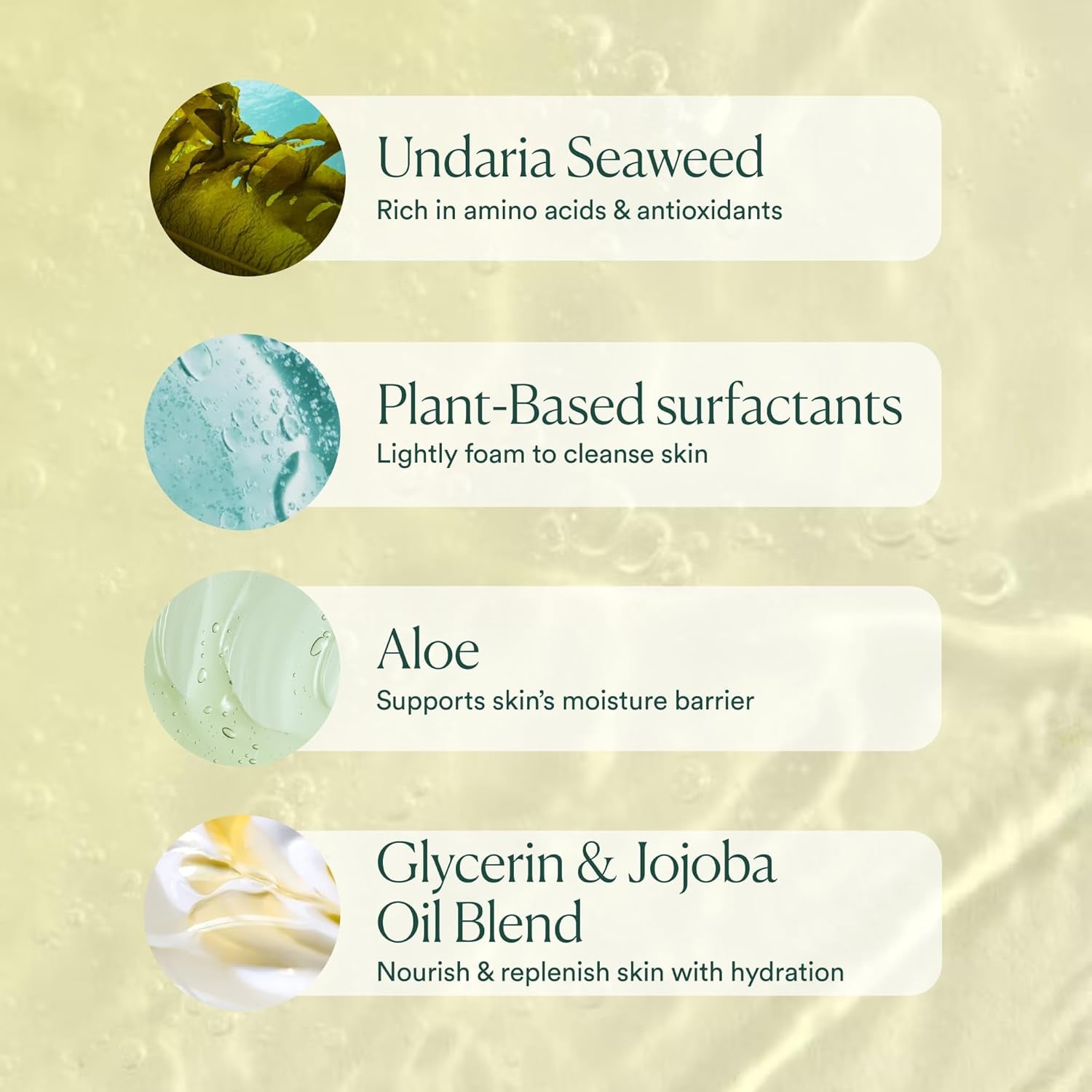 Undaria Algae™ Body Wash, Ph Balanced Cleanser, Citrus Scent, 8 Oz | Hydrating • Moisturizing • Aloe + Glycerin • All Skin Types • Undaria Seaweed • Clean, Vegan & Non-Toxic