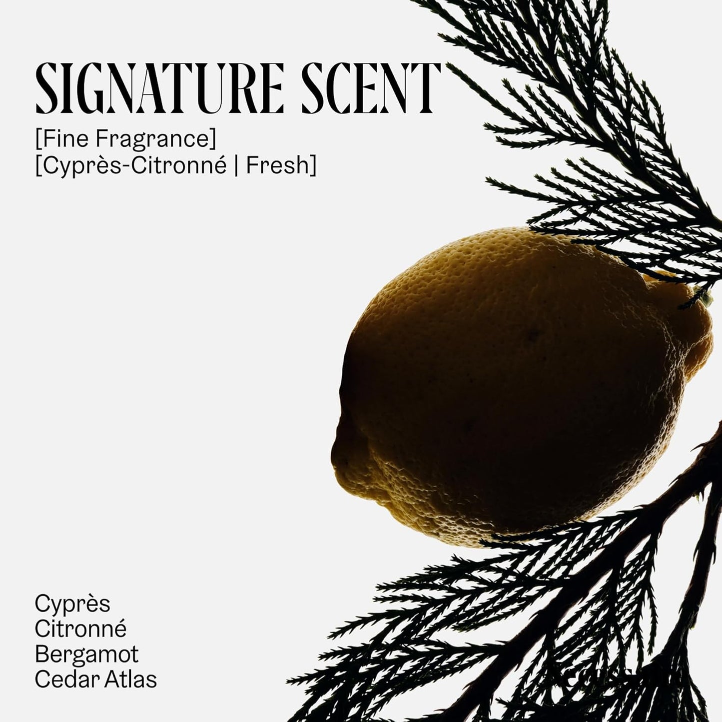 the Deodorant Cyprès-Citronné | Natural Aluminum-Free Deodorant (75 G/2.5 Oz)