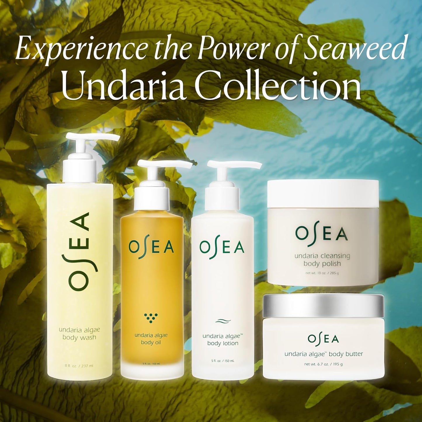 Undaria Algae™ Fragrance Free Body Lotion 5 Oz - Ultra-Hydrating & Lightweight - Firms Skin in 4 Hours - Packed with Undaria Seaweed & Hyaluronic Acid - Hypoallergenic Formula