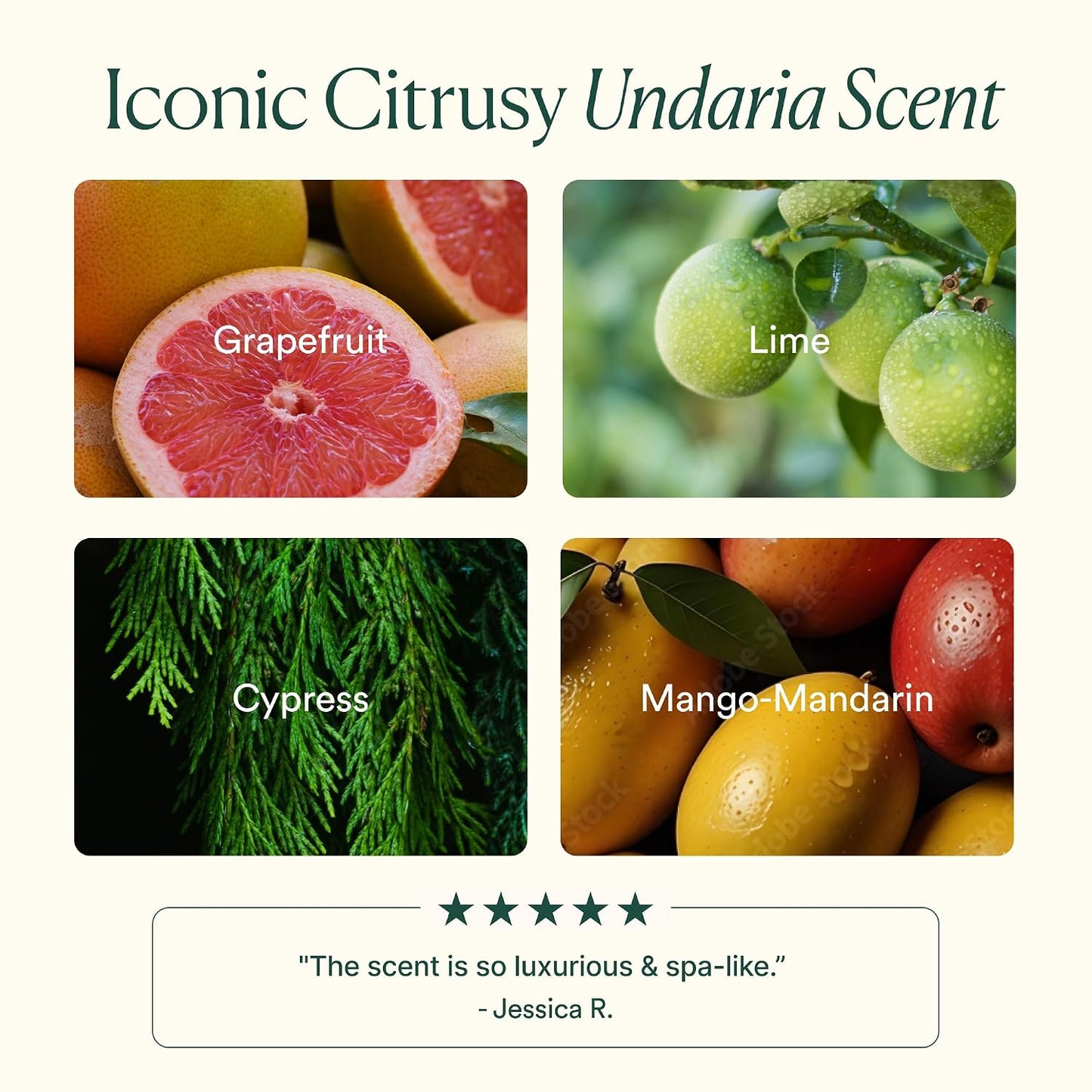 Undaria Algae™ Body Wash, Ph Balanced Cleanser, Citrus Scent, 8 Oz | Hydrating • Moisturizing • Aloe + Glycerin • All Skin Types • Undaria Seaweed • Clean, Vegan & Non-Toxic